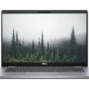 Repasovaný Notebook Dell Latitude 5411 - Silver