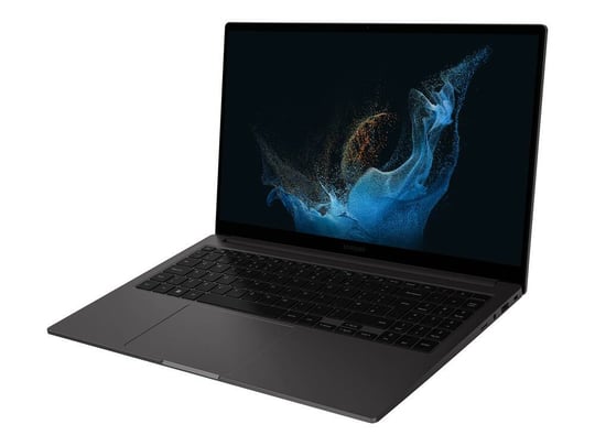 6" | 1920 x 1080 (Full HD) | NumPad | Webcam | Intel Iris Xe | Windows 11 Pro | HDMI | Bronze | IPS | Graphite | 2022