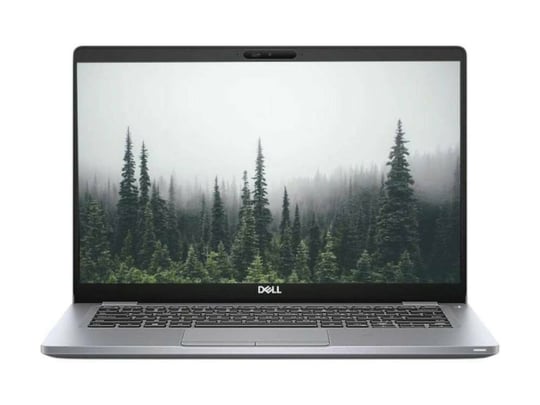 Repasovaný Notebook Dell Latitude 5411 - Silver