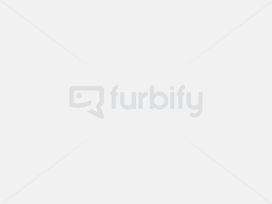 Notebook-Dell-Latitude-5420-Touchscreen-4