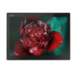 Repasovaný Notebook Lenovo ThinkPad X1 Tablet Gen 3 (8GB) (256GB) (without keyboard) (Touchscreen) - Bronze